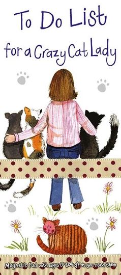 Image sur CRAZY CAT LADY