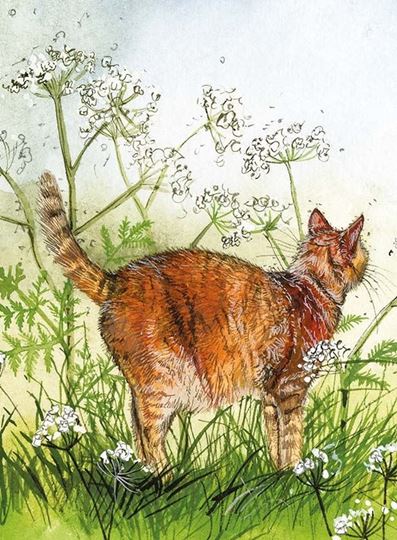 Picture of CAT IN THE COW PARSLEY
