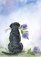 Bild von LABRADOR AND AGAPANTHUS
