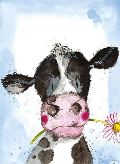 Image sur COW AND DAISY