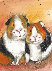 Picture of GUINEA PIGS