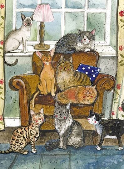 Image sur CAT HOUSE