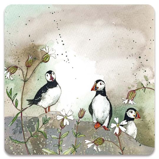 Bild von PUFFINS