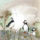 Picture of Puffins