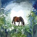 Picture of Horse