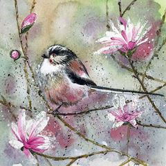 Bild von LONG TAILED TIT AND MAGNOLIA BLANK CARD