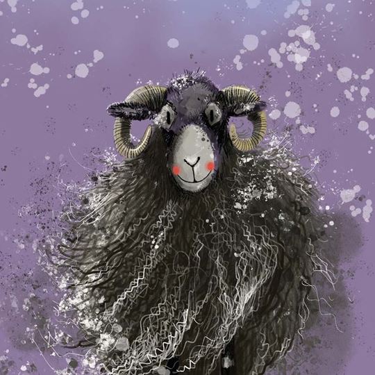 Picture of SHEEP BLANK CARD