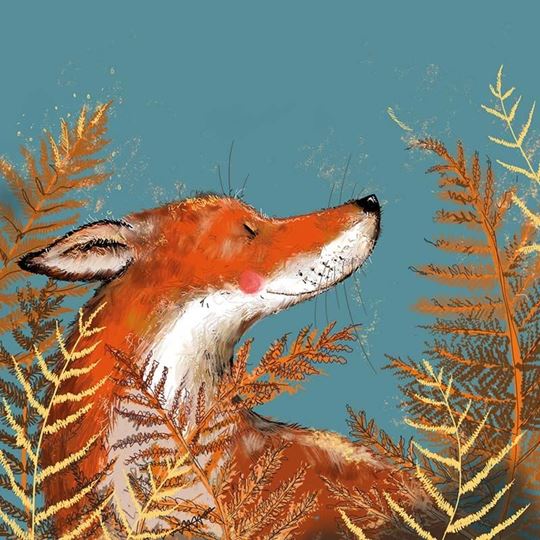 Image sur FOX BLANK CARD