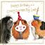 Picture of GRAZY GUINEA PIG SPARKLE CARD