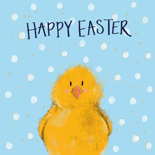 Bild von SPRS70 CHICK EASTER CARD