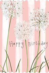 Bild von AGAPANTHUS BIRTHDAY CARD