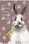Image de RABBIT AND BUTTERCUP BIRTHDAY CARD
