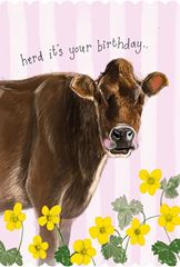 Bild von BROWN COW BIRTHDAY CARD