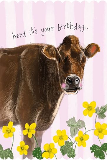 Bild von BROWN COW BIRTHDAY CARD