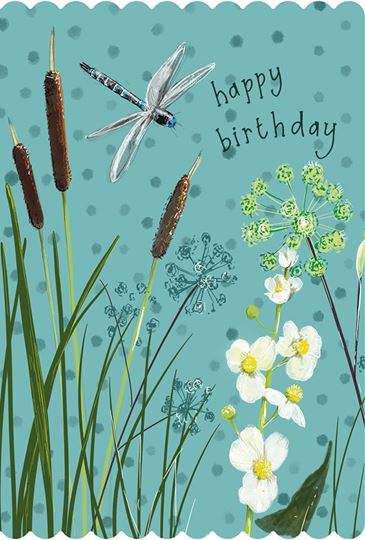 Immagine di DRAGONFLY BIRTHDAY CARD