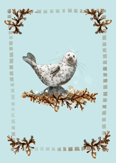 Picture of SEAL PUP BLANK CARD
