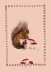 Bild von SQUIRREL AND TOADSTOOLS BLANK CARD