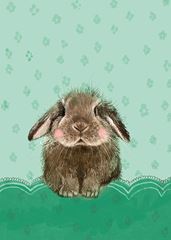 Bild von BRAMBLE BLANK CARD