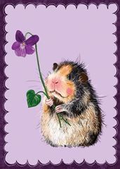 Bild von GLENDA BLANK CARD