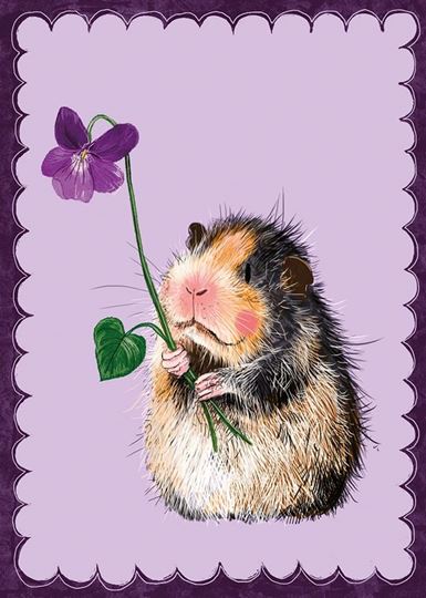 Bild von GLENDA BLANK CARD