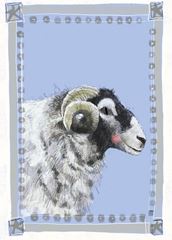 Bild von RAM BLANK CARD