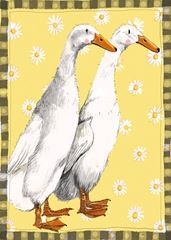 Bild von DUCKS AND DAISIES BLANK CARD