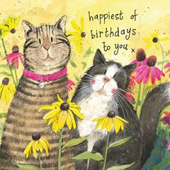 Bild von IN THE FLOWER BORDER BIRTHDAY CARD