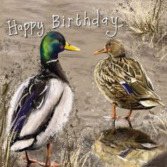 Bild von MALLARD BIRTHDAY CARD