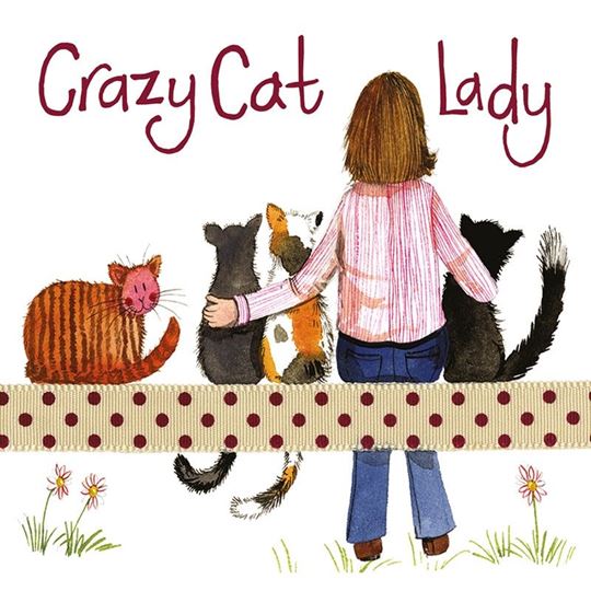 Picture of CRAZY CAT LADY MINI MAGNETIC NOTEPAD