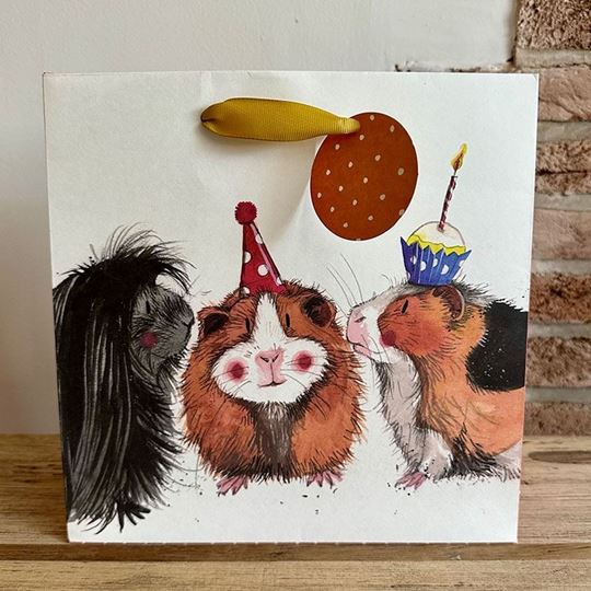 Picture of GUINEA PIGS GIFT BAG SMALL