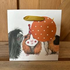 Picture of GUINEA PIGS GIFT BAG SMALL
