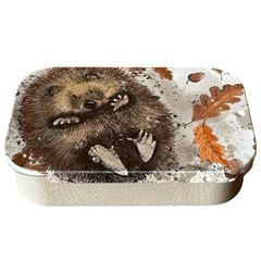 Bild von HEDGEHOG SLIDING LITTLE TIN