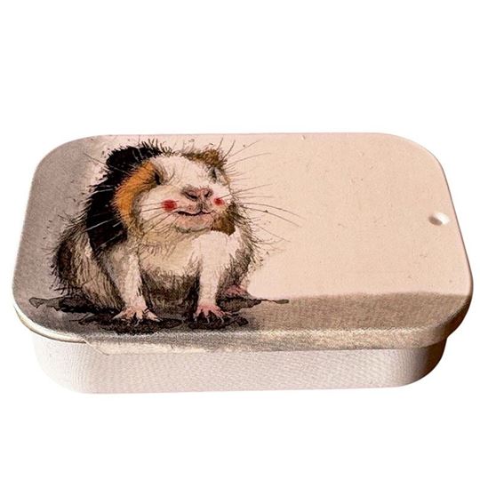 Picture of GUINEA PIG SLIDING LITTLE TIN
