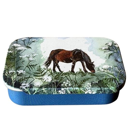 Image sur HORSE AND COW PARSLEY SLIDING LITTLE TIN