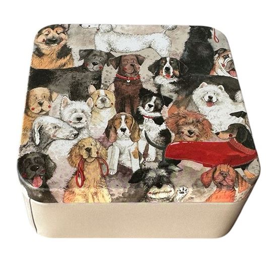Bild von BEST OF BREED MEDIUM SQUARE TIN