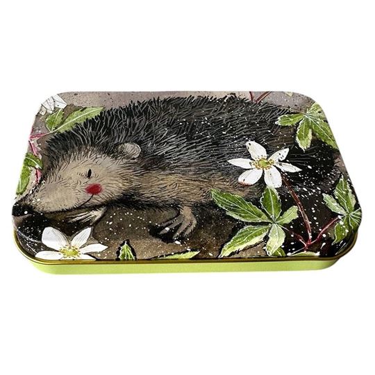 Picture of MR PRICKLY SMALL RECTANGULAR TIN
