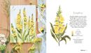 Bild von Hegde, Sushma: Wildflower Watercolor – Blumen-Aquarelle malen