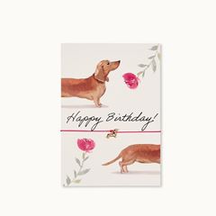 Bild von Pin-Karte: Happy Birthday Dackel Blumen  - by vivi.