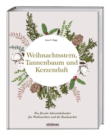 Bild von Rupp A: Weihnachtsstern, Tannenbaum und Kerzenduft - Sonderausgabe