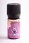 Picture of Ätherisches Öl Benzoe, 5 ml