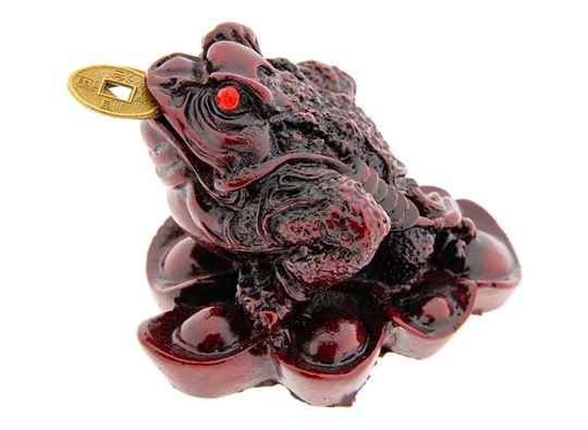Immagine di Geldfrosch, rot Kunstharz
