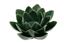 Picture of Blütenkeramik Lotus grün, gross