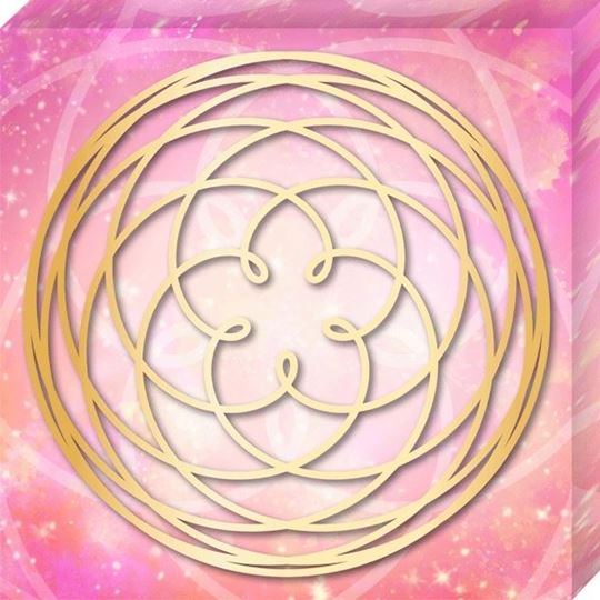 Image sur Leinwandbild Venusblume, 45 × 45 cm