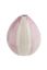Image de Vase ROSE AQUARELL
