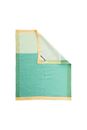 Immagine di Geschirrtuch BICOLOR green