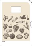 Bild von TUTORIAL ALLTAGSHELFER SERIE (1 x 5 Motive)