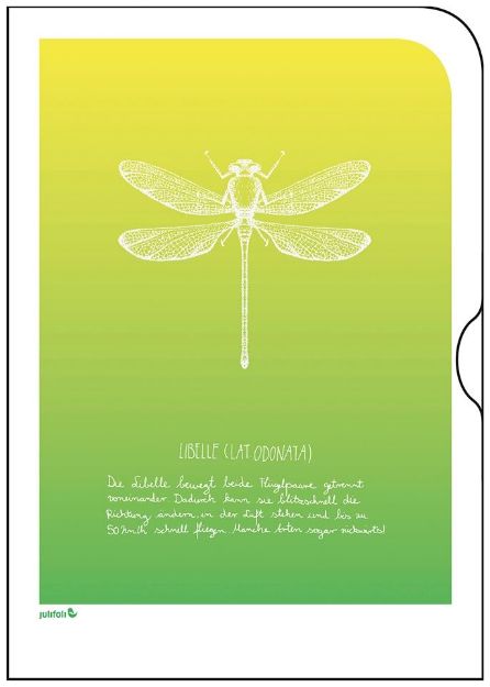 Bild von TUTORIAL INSEKTEN Libelle, VE-10