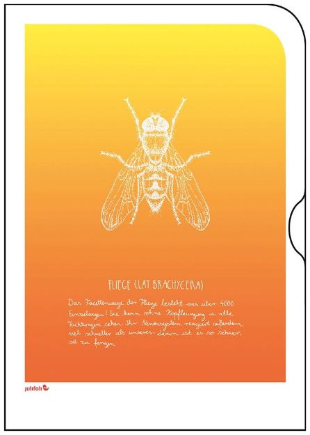 Bild von TUTORIAL INSEKTEN Fliege, VE-10