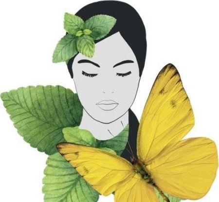 Zeige Produkte für Kategorie AromaCare Bild für Kategorie AromaCare