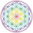 Bild von Aufkleber Set 4 x 4.5 cm Blume des Lebens Regenbogen-Chakra transparent